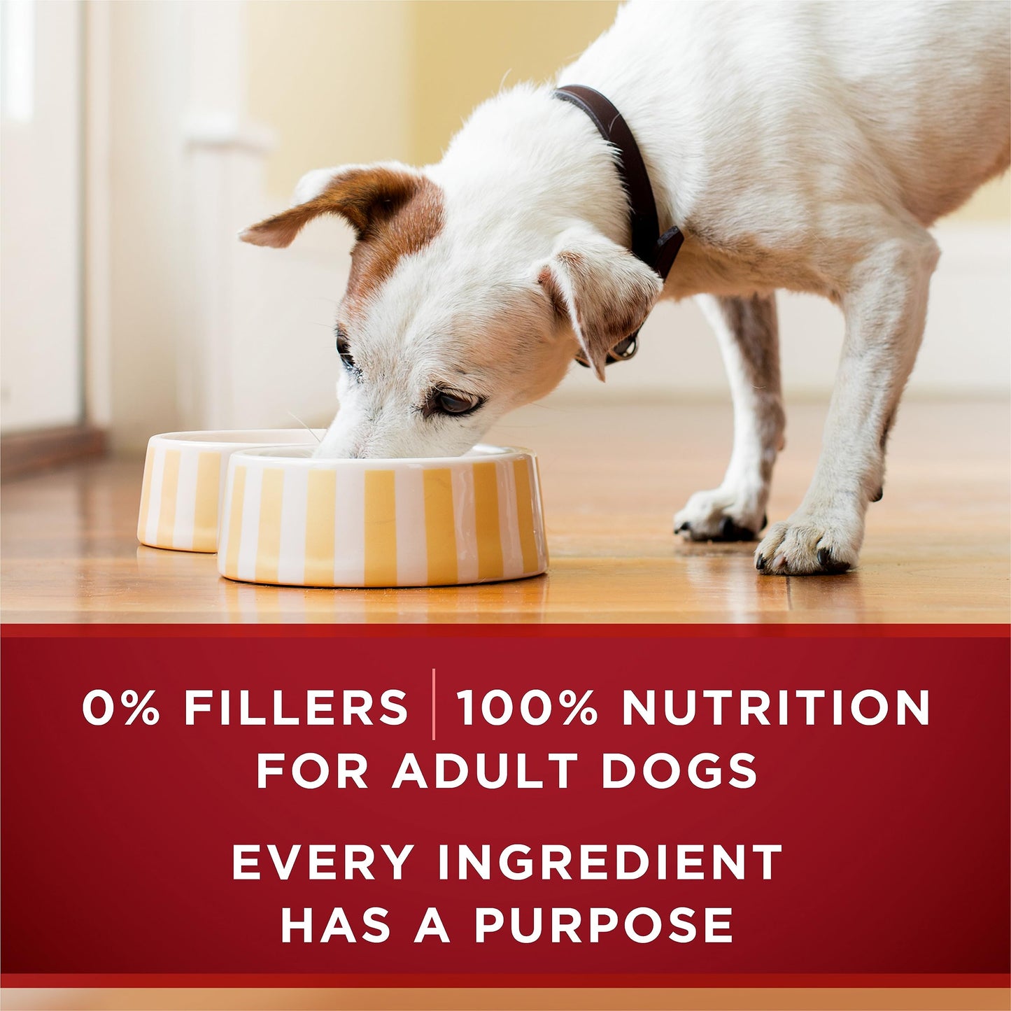 Purina ONE True Instinct Wet Dog Food, Ground Turkey & Venison (12 Pack) 🍁 All In One Marketplace Canada