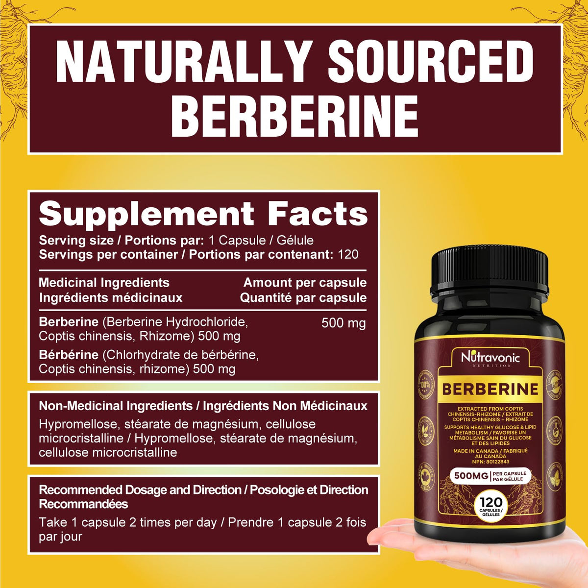 Nutravonic Berberine Supplements 1000mg Per Serving, 500mg Per Capsule | Made in Canada I Supports Healthy Glucose & Lipid Metabolism | Non-GMO, Vegan, Gluten-free, 120 Easy-to-Swallow Capsules 🍁 All In One Marketplace Canada