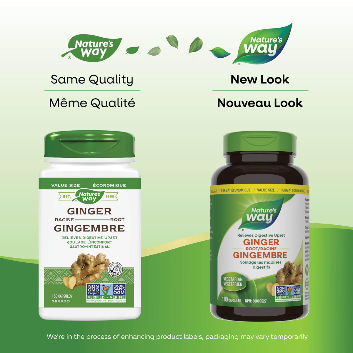 Nature's Way Ginger Root – Traditional Digestive Support Supplement - Used in Herbal Medicine to Help Relieve Digestive Upset – Non-GMO - 180 Vegetarian Capsules, Value Size 🍁 All In One Marketplace Canada