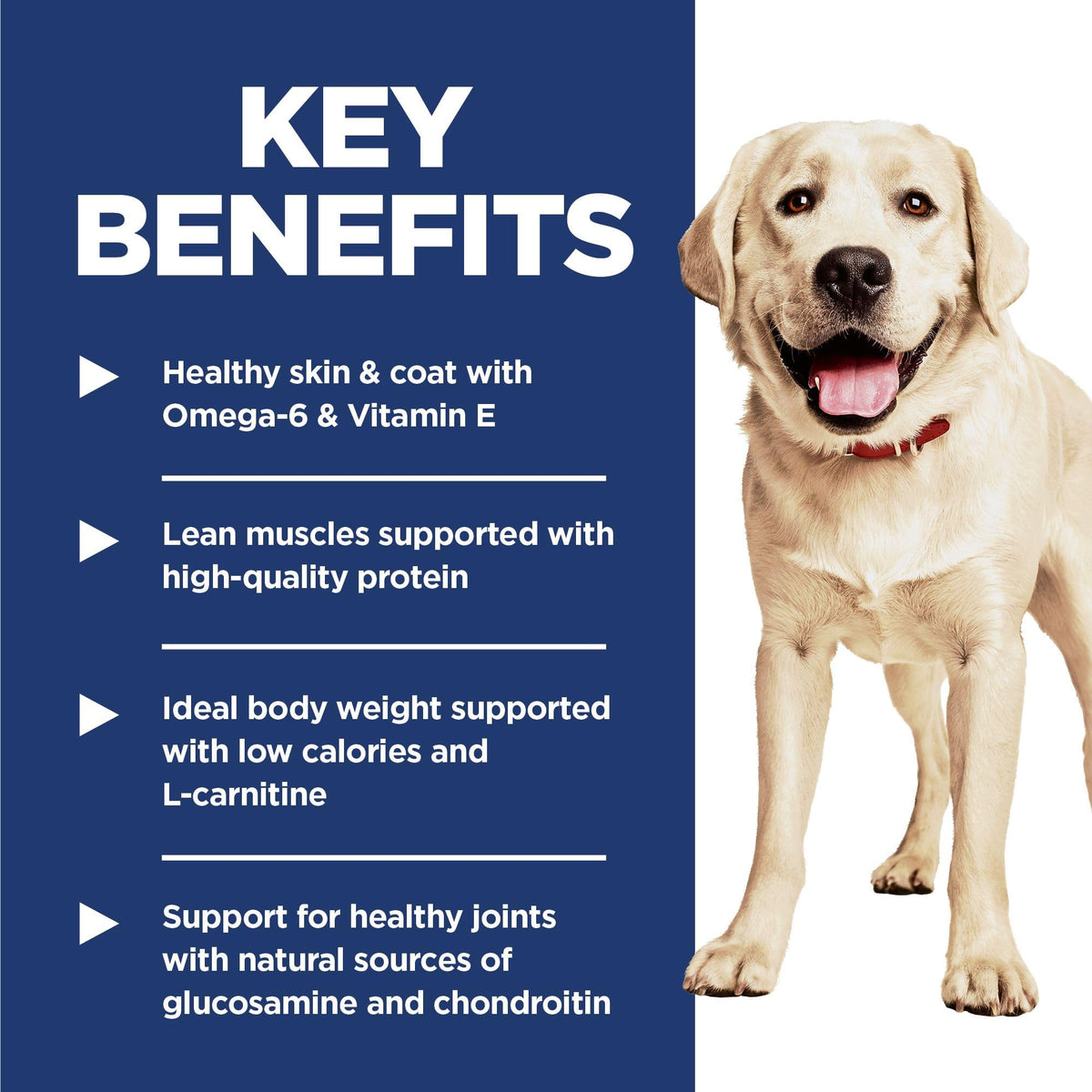 Hill's Science Diet Adult Light Large Breed with Chicken Meal & Barley Dry Dog Food 13.6 kg Bag 🍁 All In One Marketplace Canada