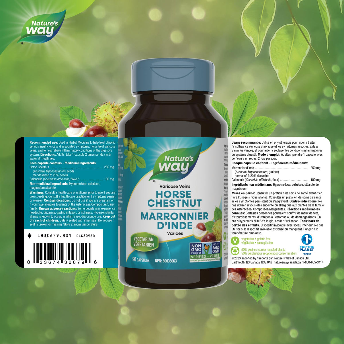 Nature's Way Horse Chestnut Supplement – Helps Treat Varicose Veins and Associated Symptoms – Digestive System Inflammation Relief – 100mg Calendula, 250mg Horse Chestnut – 90 Vegetarian Capsules 🍁 All In One Marketplace Canada
