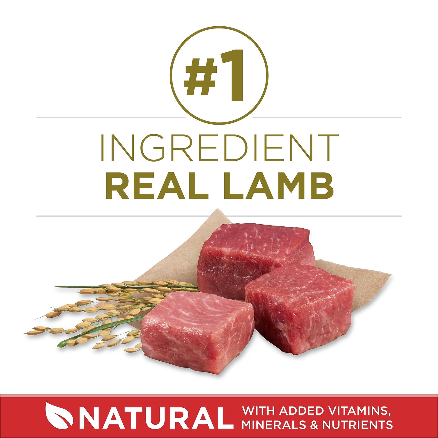 Purina ONE Dry Dog Food, Microbiome Balance with Lamb & Rice 3.63kg 🍁 All In One Marketplace Canada