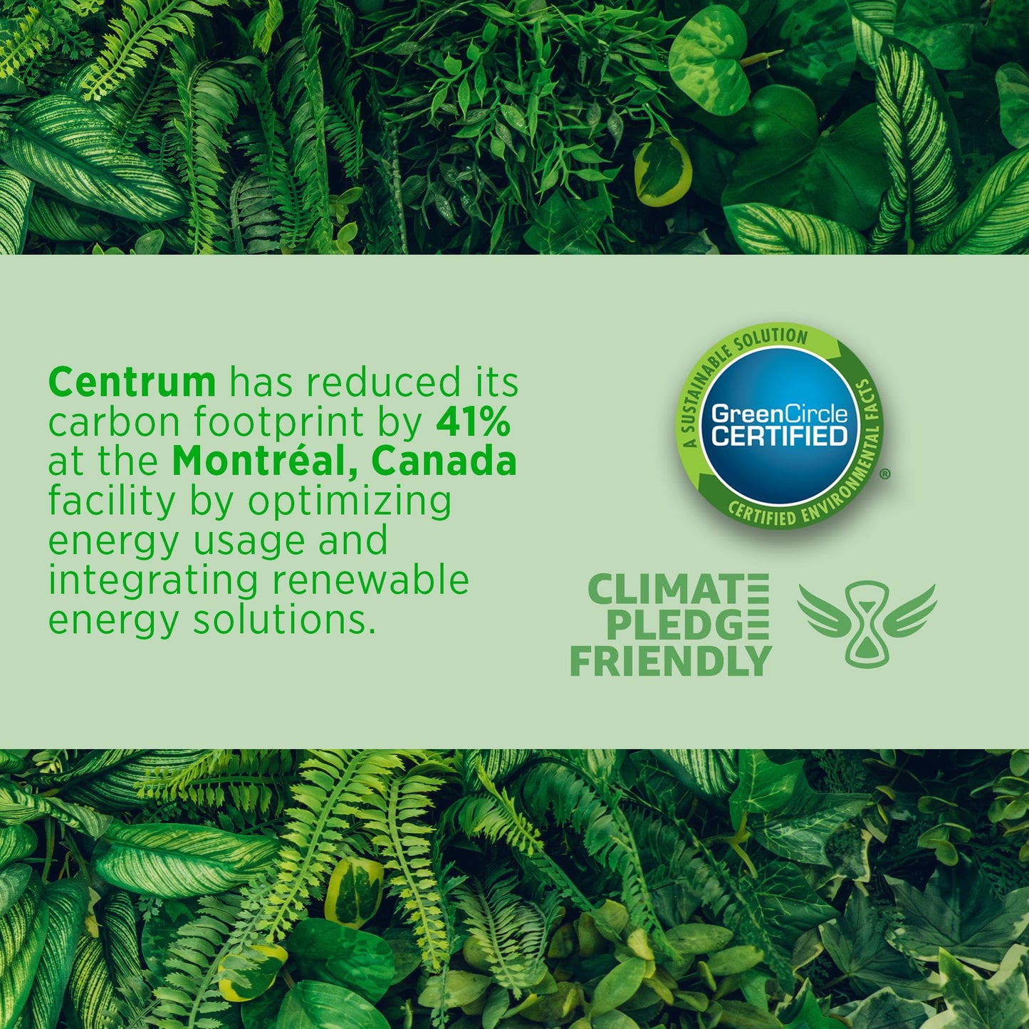 Centrum Women 50 Plus Multivitamins/Minerals Supplement for Women 50+, 160 Mini Tablets 🍁 All In One Marketplace Canada
