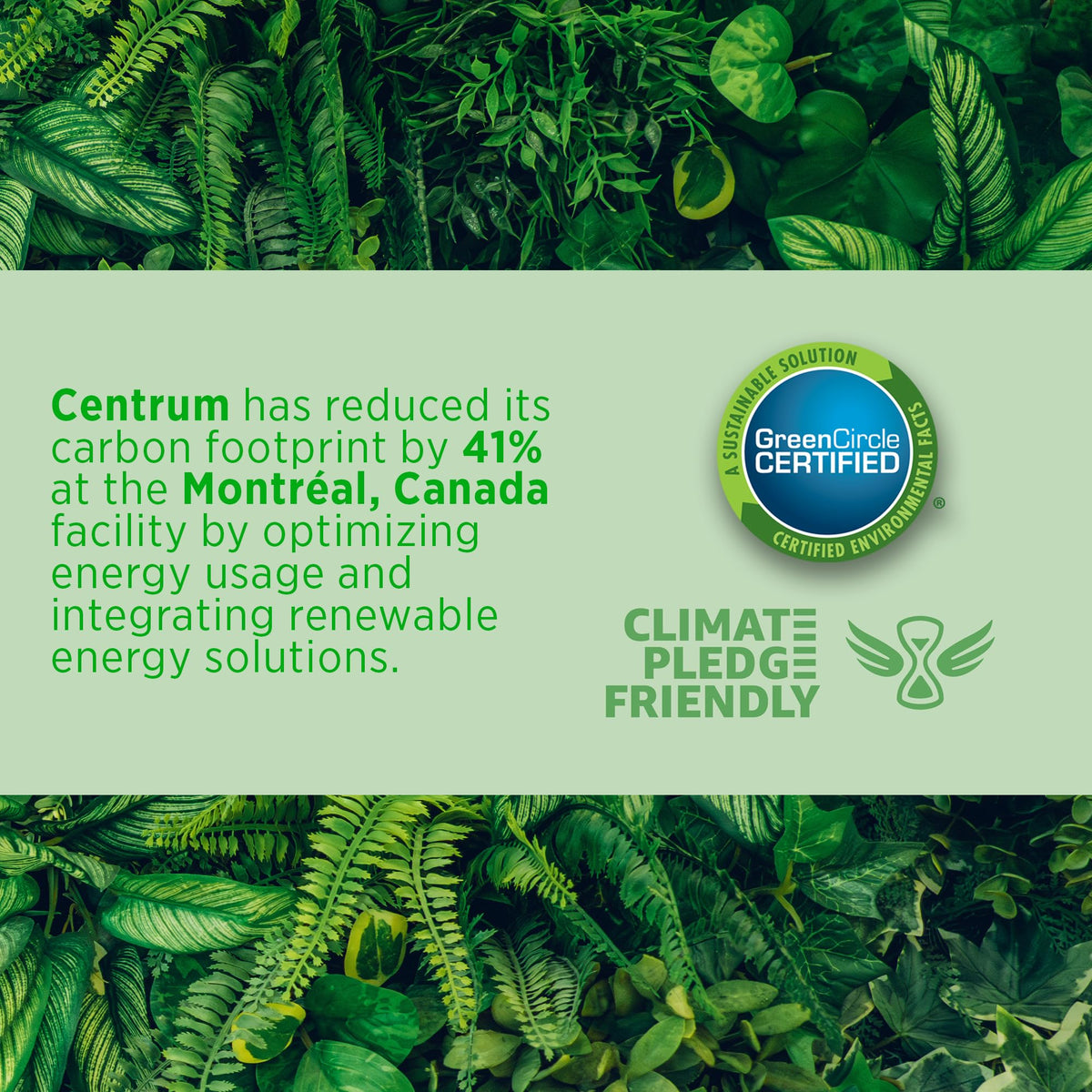 Centrum Men 50 Plus Multivitamins/Minerals Supplement for Men 50+, 90 Tablets (Packaging May Vary) 🍁 All In One Marketplace Canada