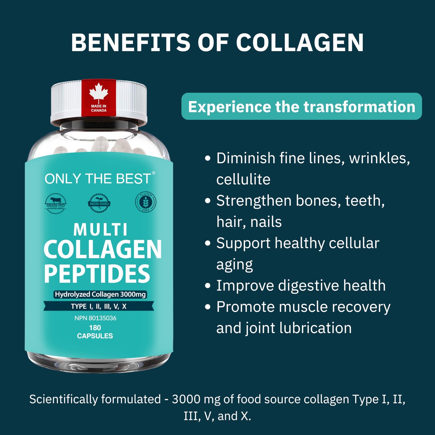 Premium Multi Collagen Peptides Capsules 3000mg - Types I, II, III, V, X To Support Skin, Hair, Nails & Bones - Helps Maintain Strong Joints, Ligaments, Muscles, & Digestive Health* - Hydrolyzed Collagen Supplement 180 Capsules