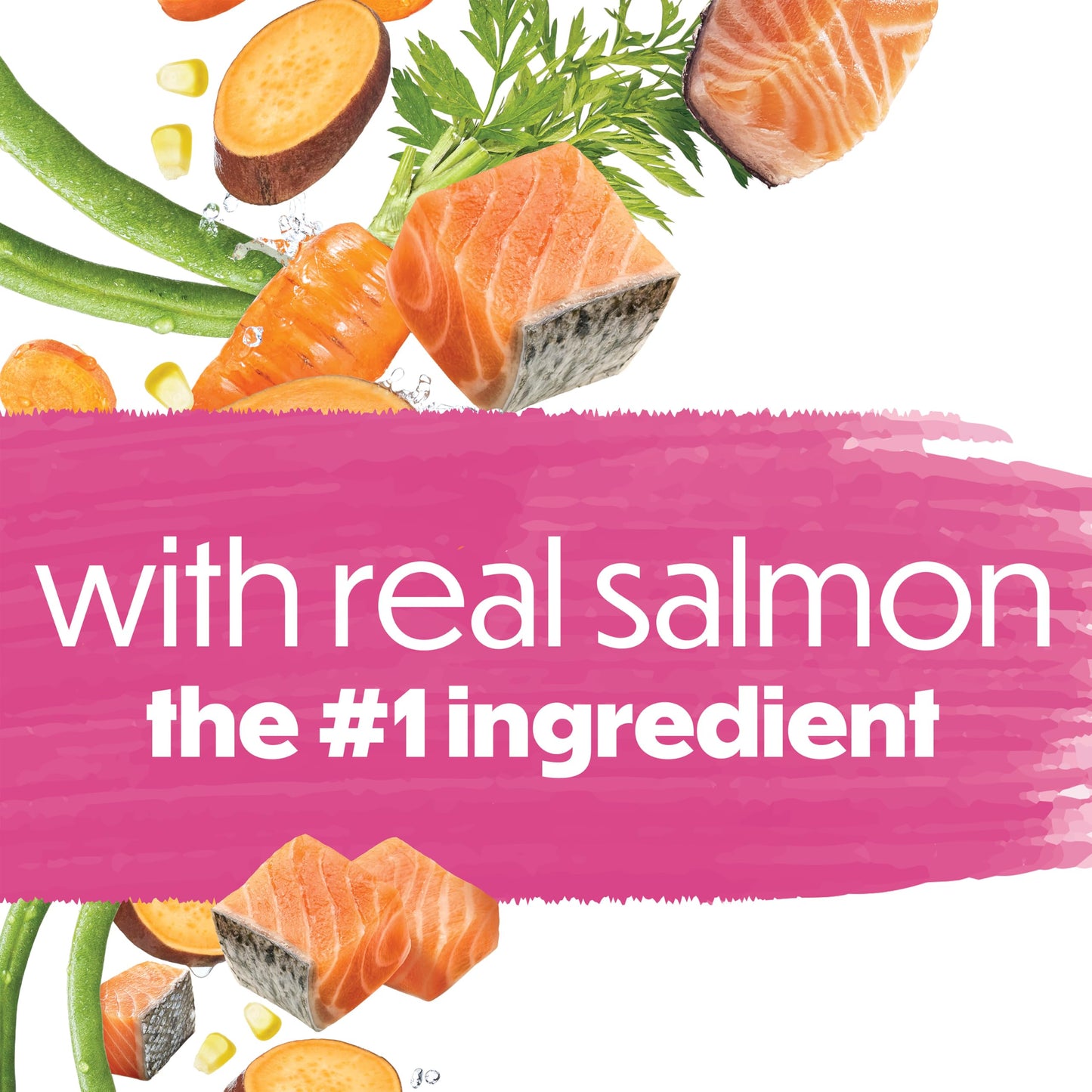 Beneful Originals Dry Dog Food, Real Salmon - 7 kg Bag 🍁 All In One Marketplace Canada