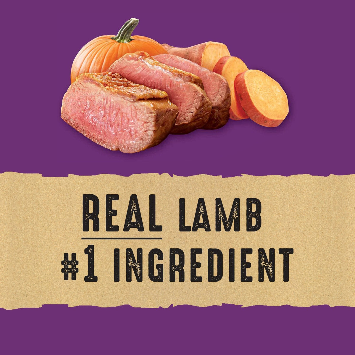 Nature's Recipe Adult Grain Free Natural Dry Dog Food Lamb, Sweet Potato & Pumpkin Recipe 10.8 kg (Pack of 1) 🍁 All In One Marketplace Canada