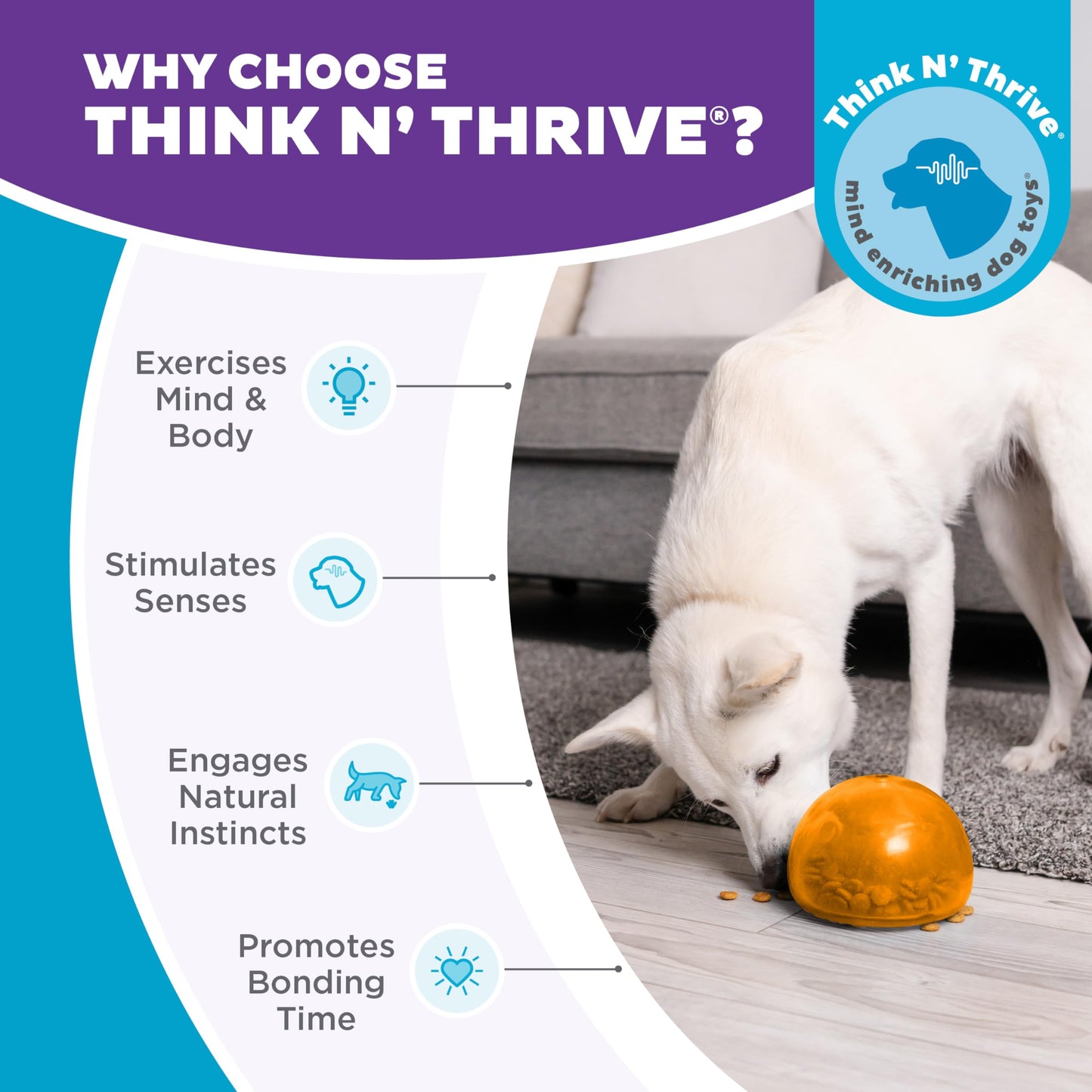 Outward Hound Snoop Dog Toy – Treat‑Dispenser Puzzle Ball, Interactive Slow Feeder, Medium to Large Dogs, Bouncy & Mint-Infused, Orange, 5" 🍁 All In One Marketplace Canada
