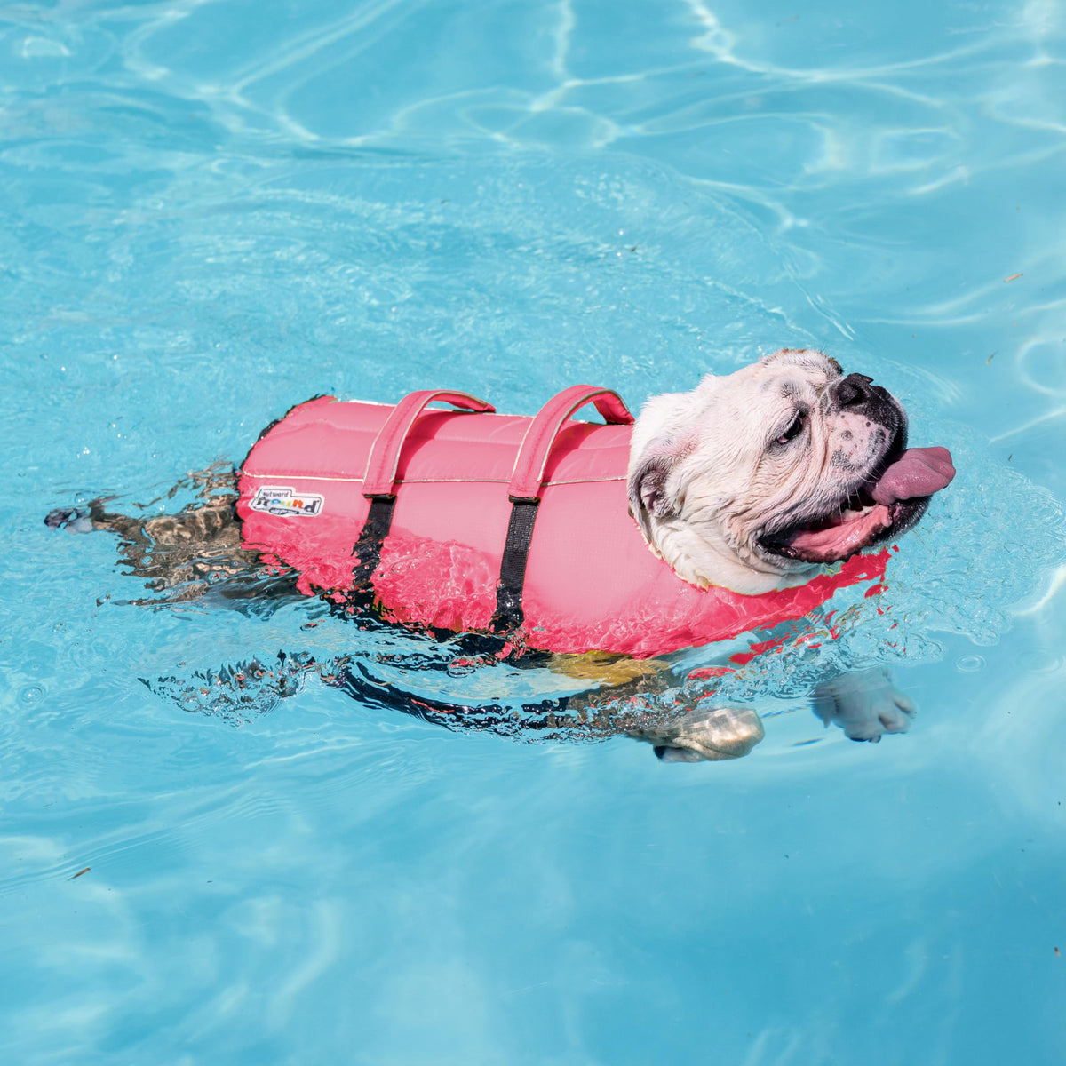 Outward Hound Granby Splash Dog Life Jacket with Handle, Reflective Floating Vest for Swimming & Boating, Maximum Buoyancy, All Skill Levels, Medium Dogs (21–27" Girth), Pink, Medium 🍁 All In One Marketplace Canada