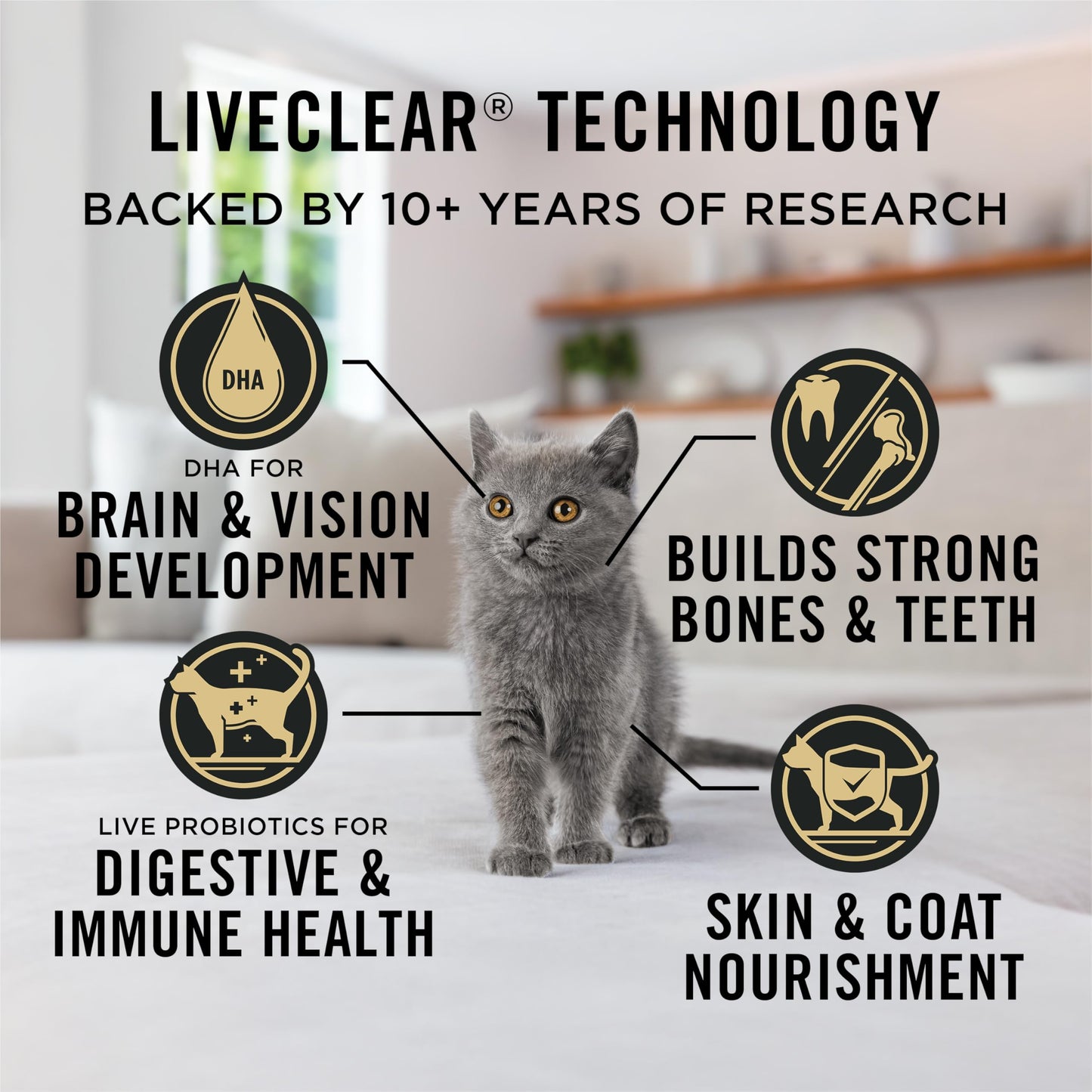 Purina Pro Plan LiveClear Dry Kitten Food, Allergen Reducing Chicken 2.49kg 🍁 All In One Marketplace Canada