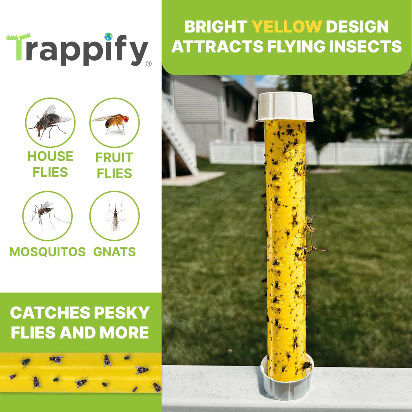 Trappify Hanging Fly Traps Outdoor: Fruit Fly Traps for Indoors | Fly Catcher, Gnat, Mosquito, & Flying Insect Catchers for Inside Home - Disposable Sticky Fly Trap for Indoor House Pest Control (2) 🍁 All In One Marketplace Canada