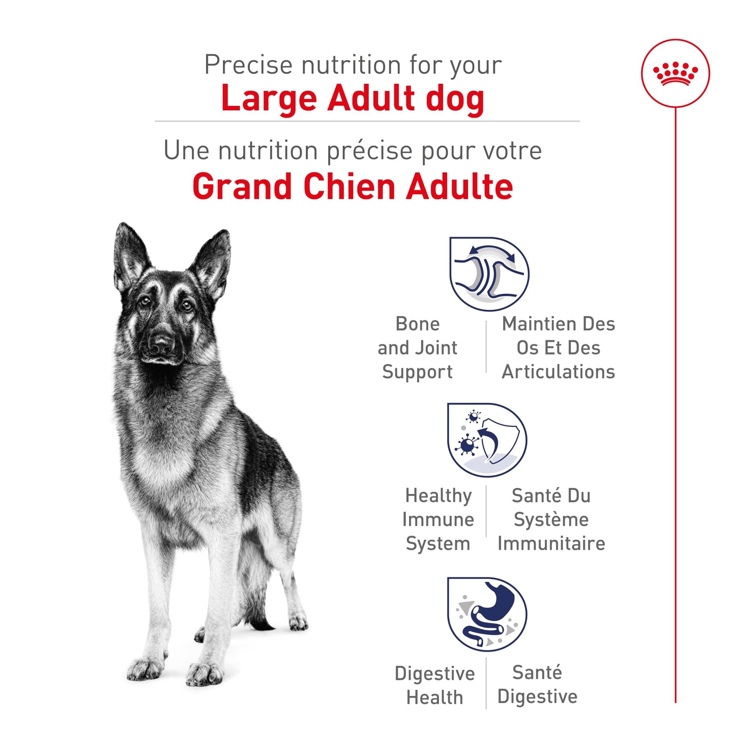 Royal Canin Large Breed Adult Dry Dog Food, 30 lb Bag 🍁 All In One Marketplace Canada