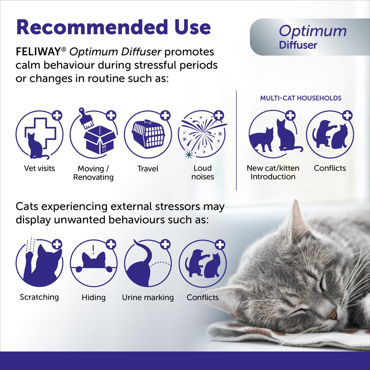 FELIWAY Optimum Diffuser Refill Value Pack, Promotes Calmness AND Harmony in Cats & Kittens, VHP Registered NN.P5V2, includes 3 Refills, Lasts 90 Days, Cat Calming Pheromones, 3 x 48ml 🍁 All In One Marketplace Canada