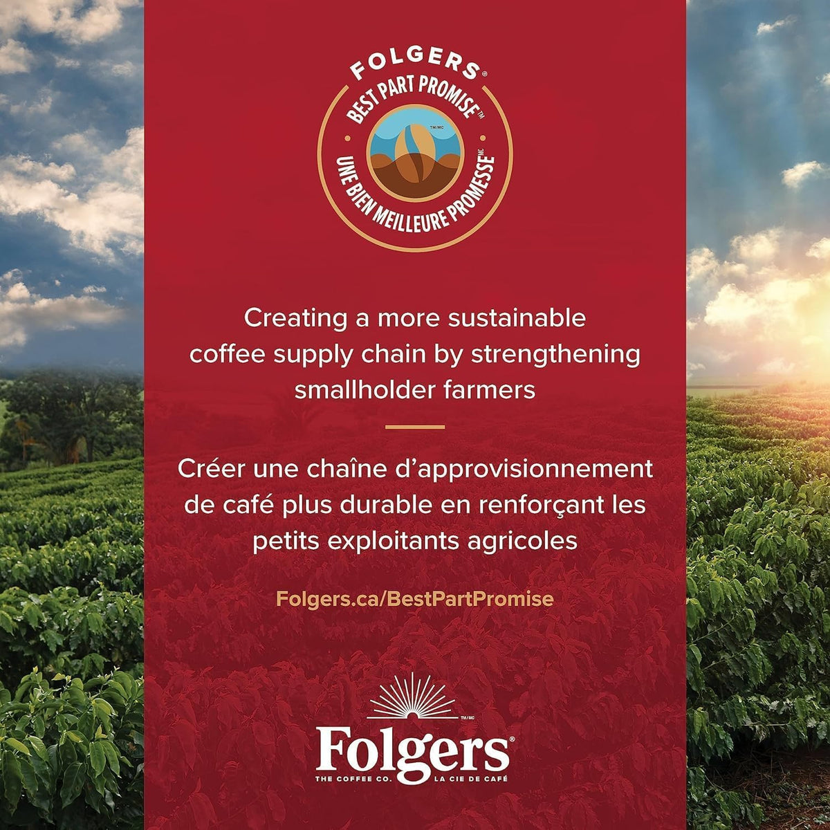 Folgers Vanilla Biscotti Flavoured Light Roast Coffee Pods, Single Serve One Cup Pods made with Arabica Beans for Hot or Iced Drinks, 30 Count (Pack of 1) 🍁 All In One Marketplace Canada