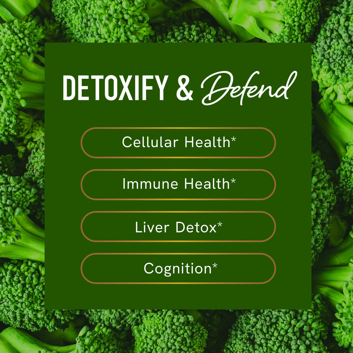 Sulforaphane Supplement from Broccoli Sprouts | 405mg Complex | NRF2 Activation With Glucoraphanin, Broccoli Seed Extract, & Mustard Seed | Supports Cellular Health with Antioxidants | 60 Capsules 🍁 All In One Marketplace Canada