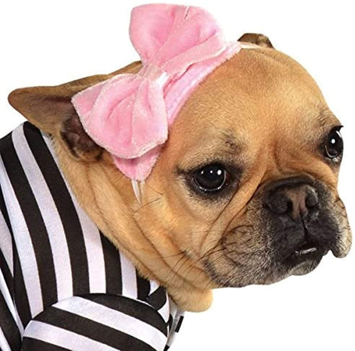 Rubies Costume Co Halloween Classics Collection Pet Costume, X-Large, 50s Girl Dress