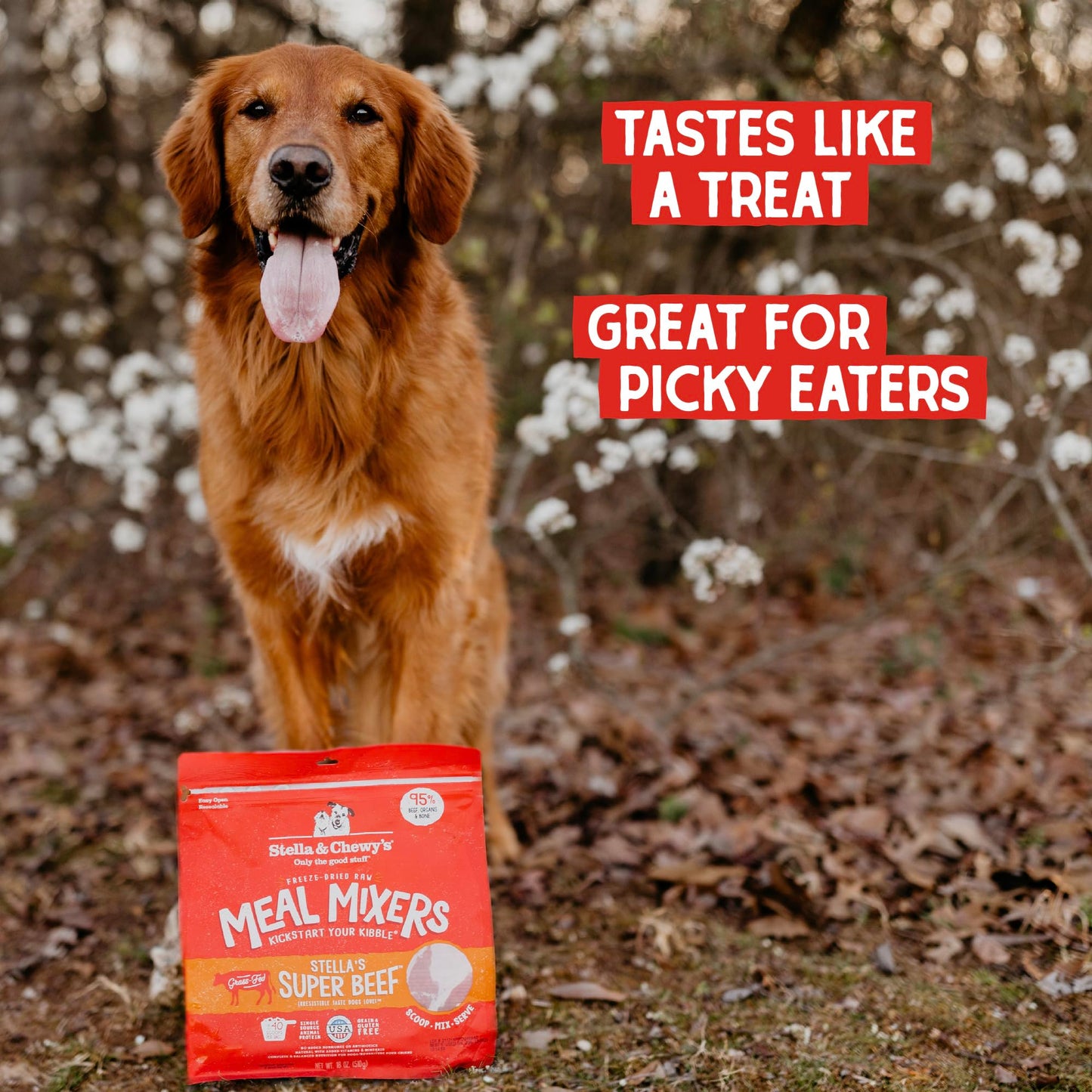 Stella & Chewy’s Freeze Dried Raw Super Beef Meal Mixer – Dog Food Topper for Small & Large Breeds – Grain Free, Protein Rich Recipe – 510g Bag 🍁 All In One Marketplace Canada