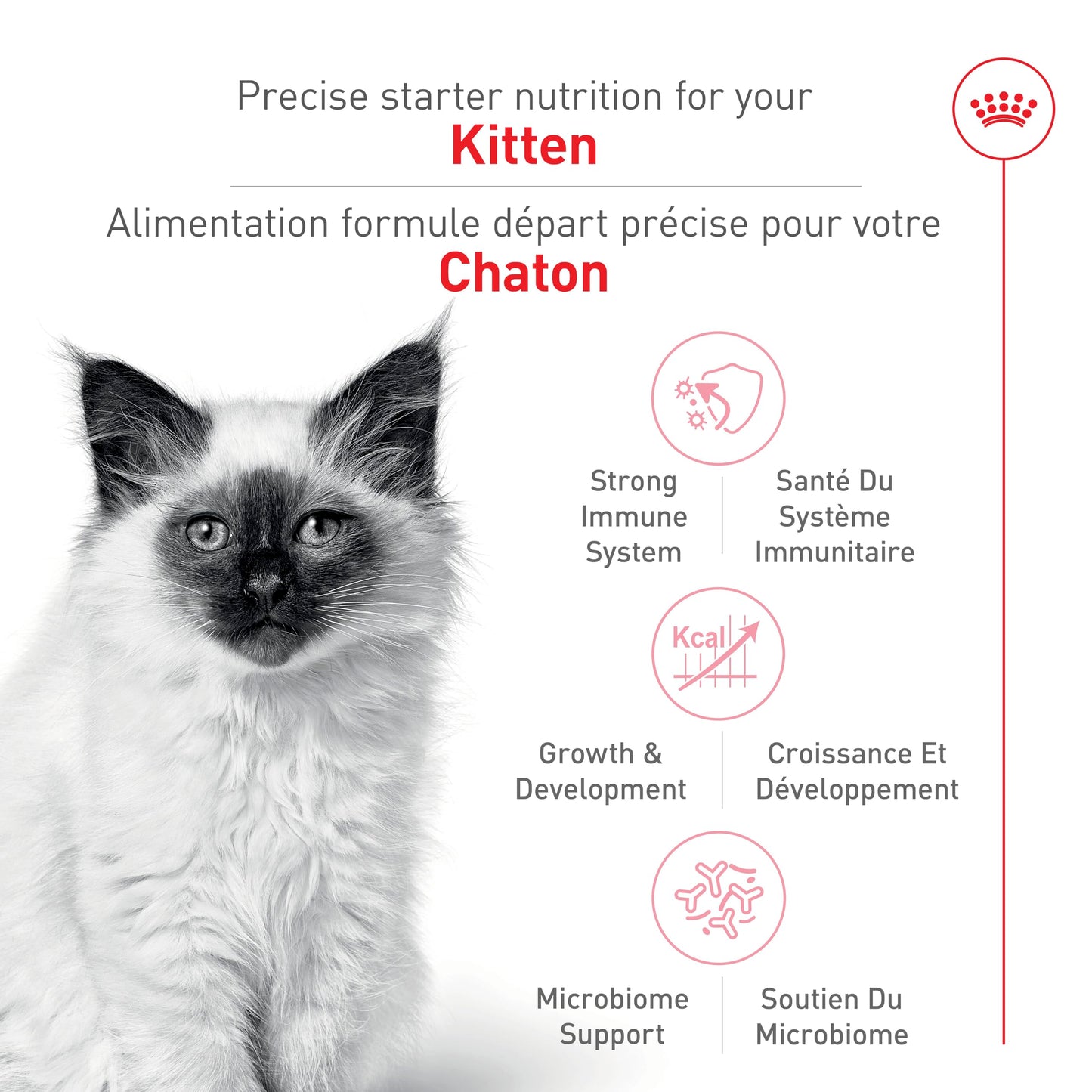 Royal Canin Feline Health Nutrition Dry Kitten Food, Supports Digestive Health, Immune Support and Healthy Energy, 3 lb Bag 🍁 All In One Marketplace Canada
