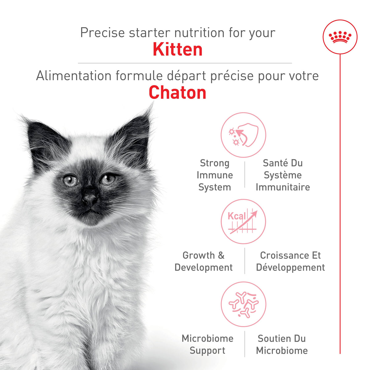 Royal Canin Feline Health Nutrition Dry Kitten Food, Supports Digestive Health, Immune Support and Healthy Energy, 14 lb Bag 🍁 All In One Marketplace Canada