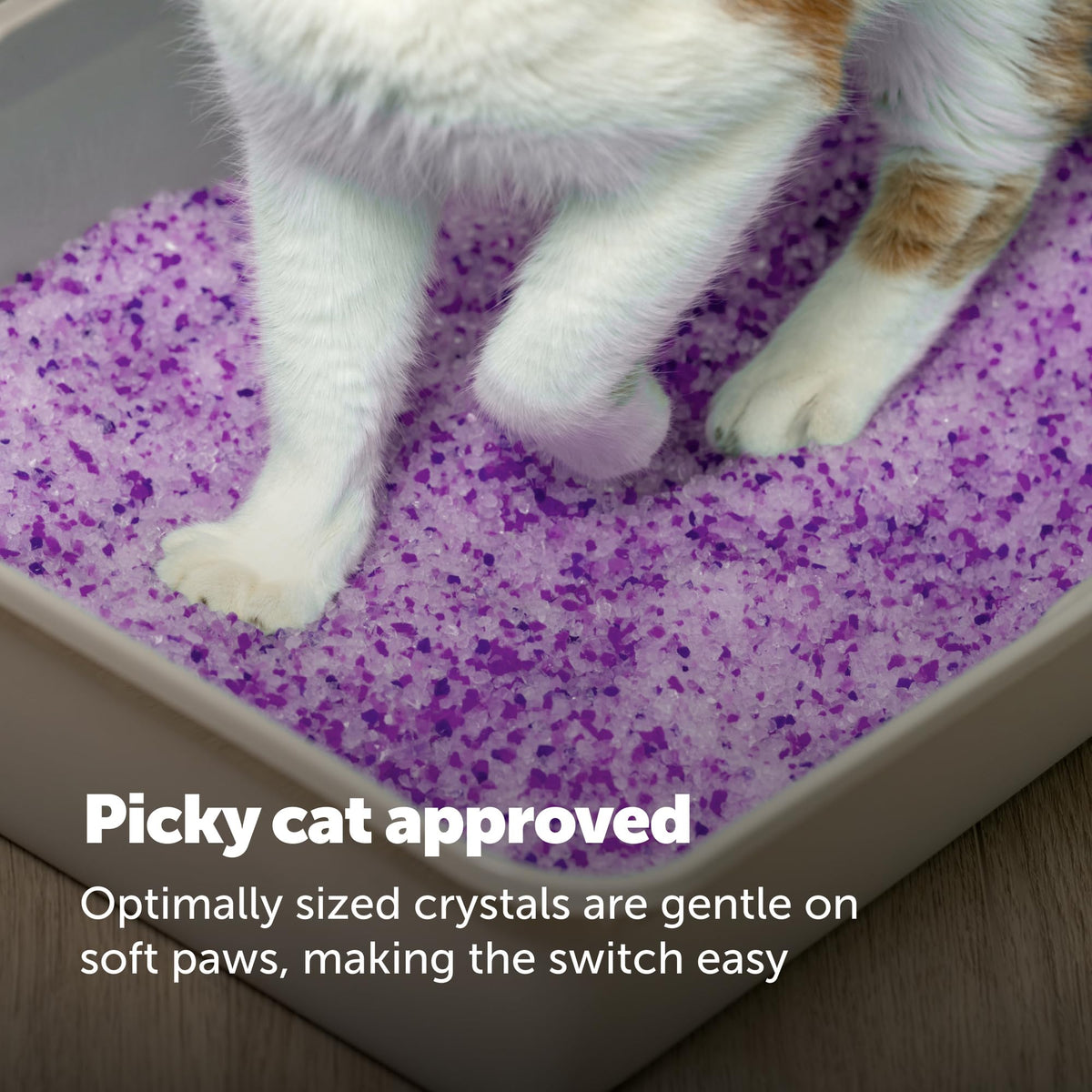 PetSafe ScoopFree Premium Lavender Crystal Cat Litter, 3-Pack – Lightly Scented Litter – Superior Odor Control – Low Tracking for Less Mess – Lasts Up to 6 Months, 24 lb Total (3 Pack of 8 lb Bags) 🍁 All In One Marketplace Canada