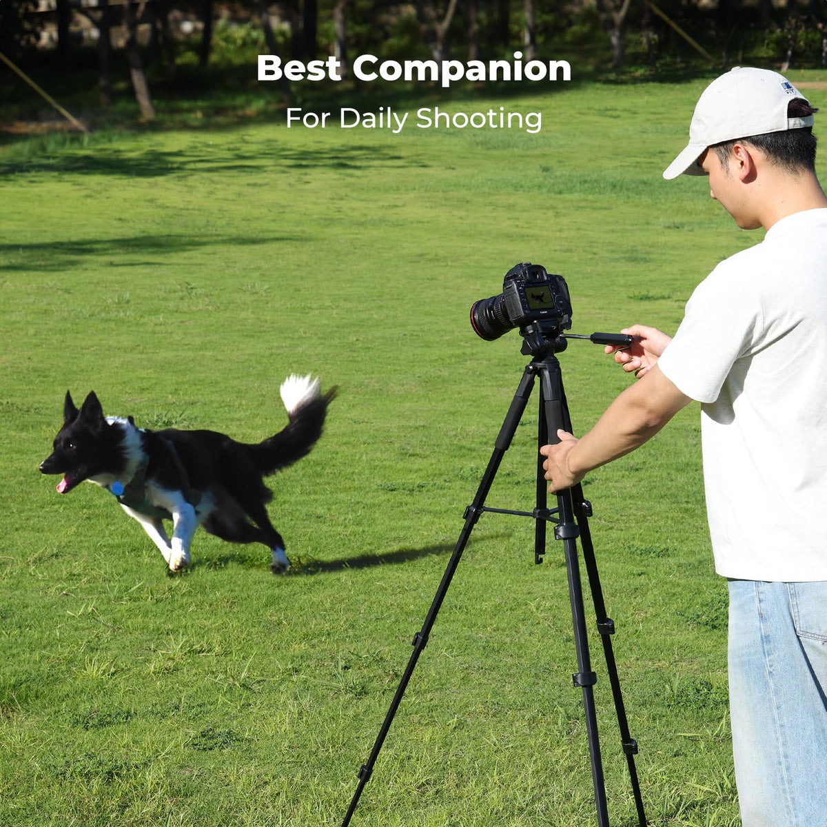 K&F CONCEPT 75" Lightweight Tripod, Camera Compact Tripod with Remote and 2-in-1 Phone Holder,Travel Phone Tripod with Removable 3-Way Pan Head for Selfie/Video Recording/Photo/Live Stream/Vlog 🍁 All In One Marketplace Canada
