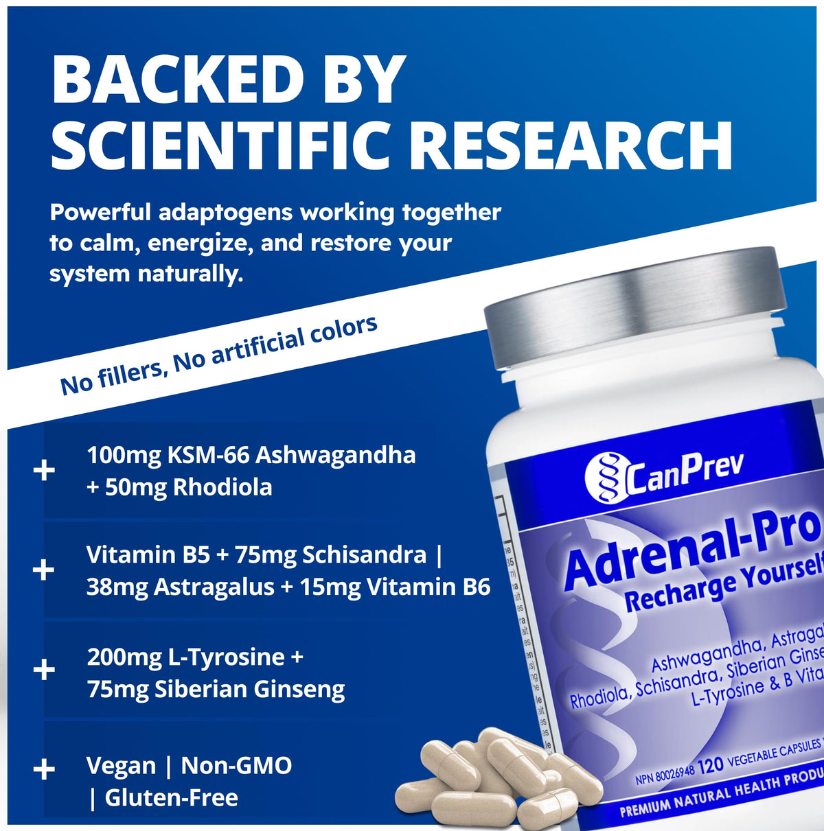 CanPrev Adrenal-Pro Recharge Yourself, 120 Vegan V-Caps with Siberian Ginseng, 30-Day Supply with Ashwagandha, Astragalus, L-Tyrosine, B5 & B6 - Supports Energy Levels, Physical and Mental Vitality 🍁 All In One Marketplace Canada