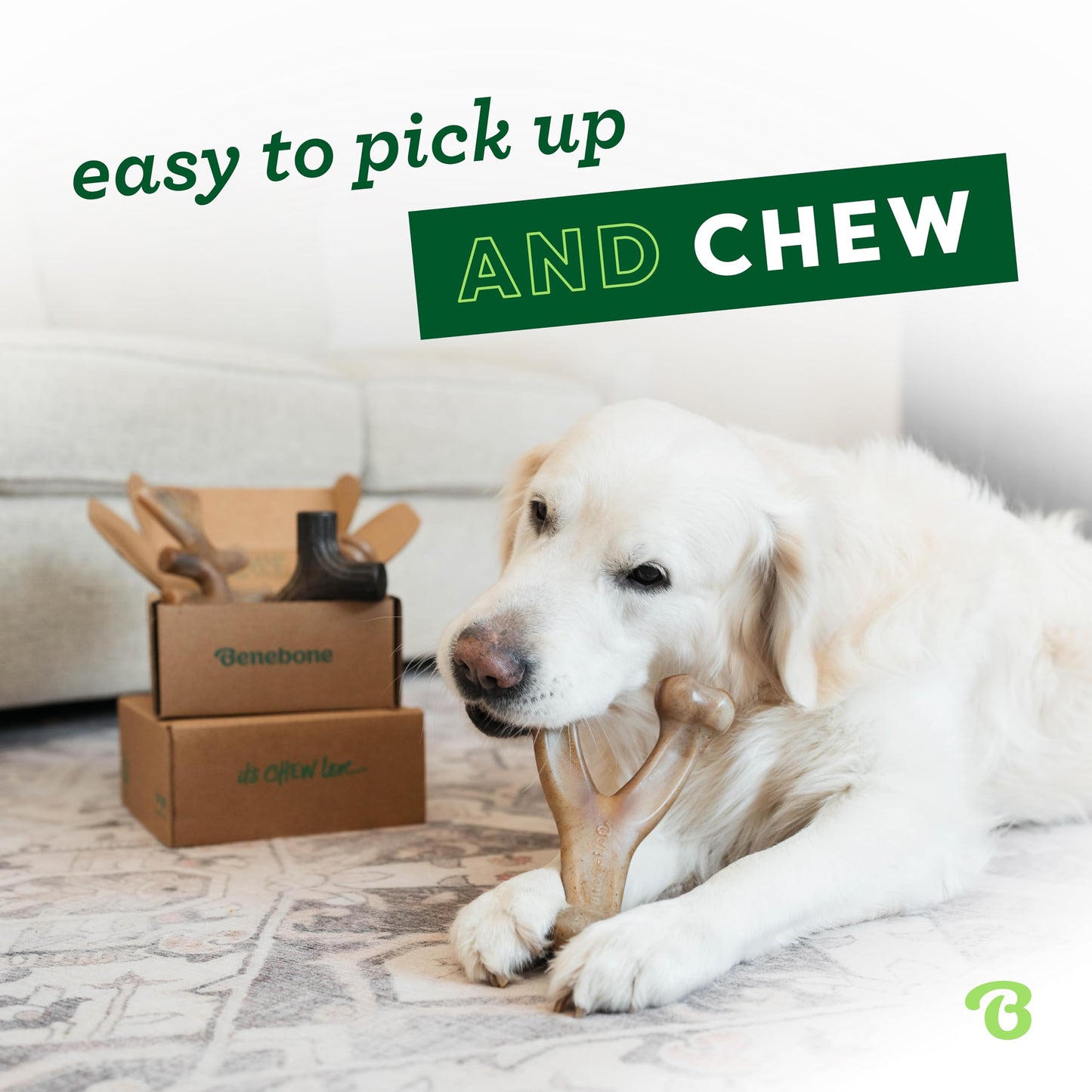 Benebone Large 4-Pack Dog Toys for Aggressive Chewers – Under 90 lbs 🍁 All In One Marketplace Canada
