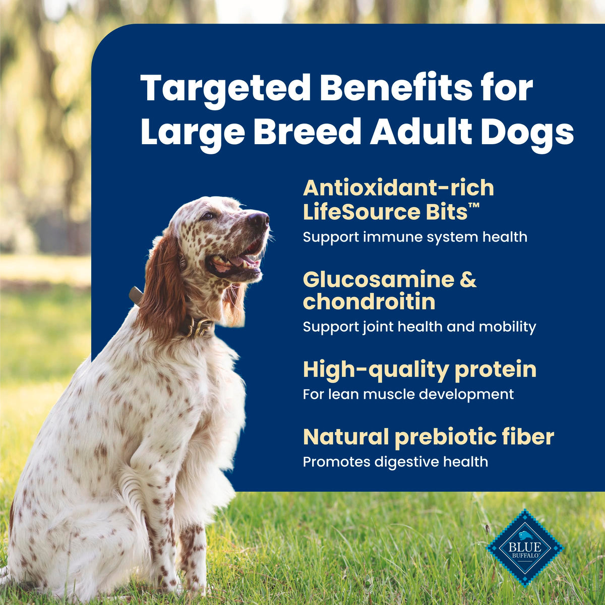 Blue Buffalo Life Protection Formula Large Breed Adult Dry Dog Food, Promotes Joint Health and Lean Muscles, Made with Natural Ingredients, Chicken & Brown Rice Recipe,11.7kg/26 lbs 🍁 All In One Marketplace Canada