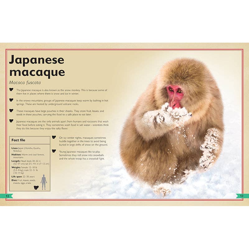 Insight Editions - The Magnificent Book of Monkeys and Apes - Ages 6+