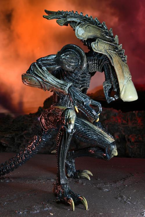 Neca - Alien vs. Predator Chrysalis (Movie Deco) Figure