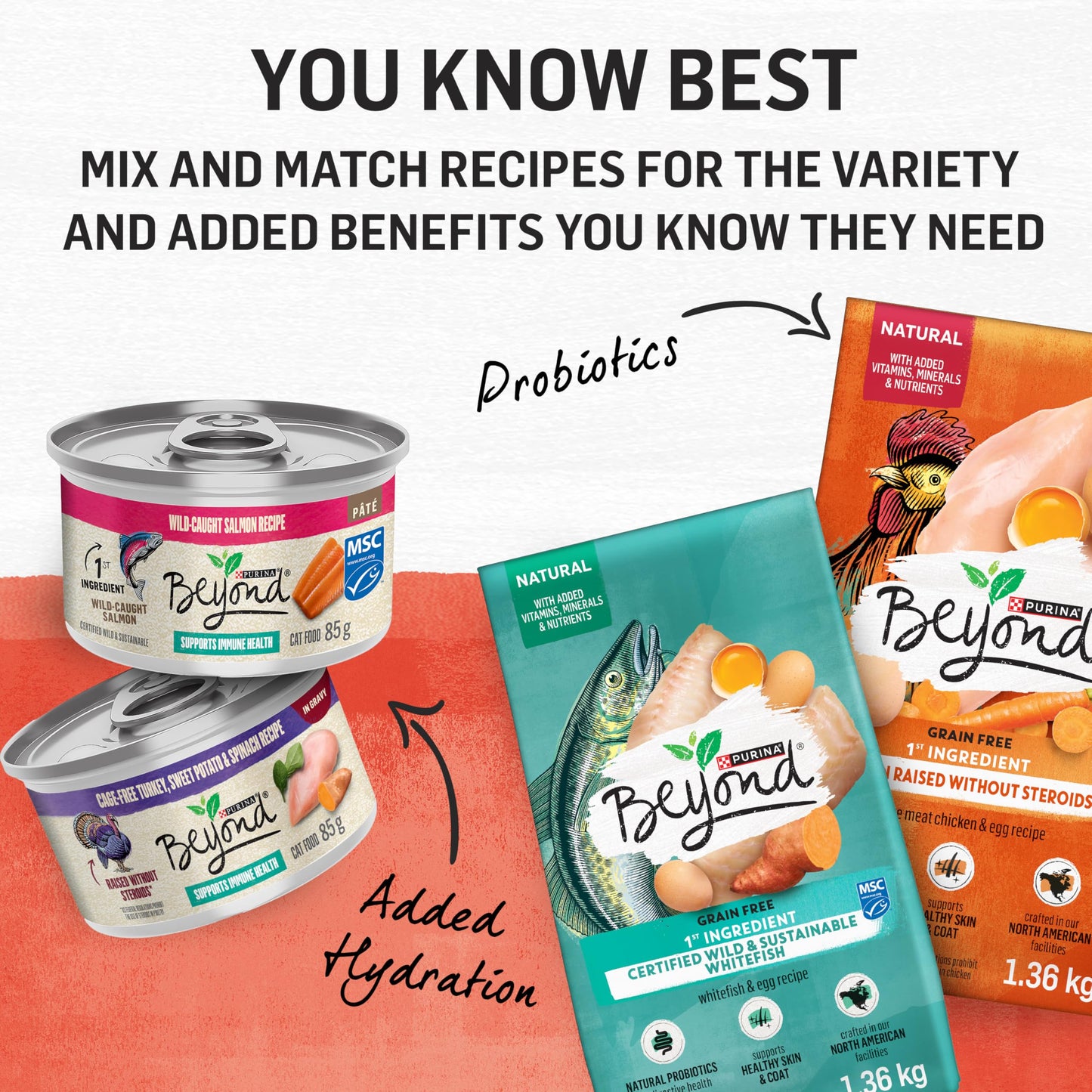 Beyond Simply Natural Dry Cat Food, Salmon & Whole Brown Rice - 2.72 kg Bag 🍁 All In One Marketplace Canada