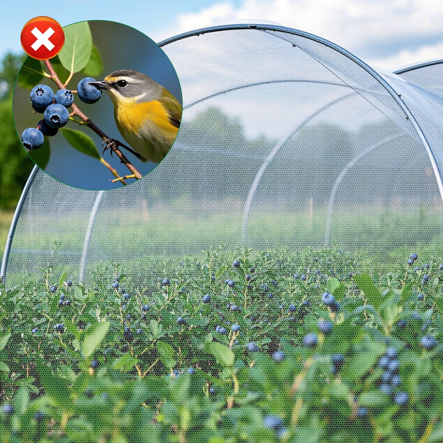 Ultra Fine Insect Mesh Garden Netting 3M x 15M, Extra Large Insect & Bird Barrier Netting, Crop Protection Plants Netting for Vegetables, Fruit Trees, Greenhouse, Customizable Plant Cover Protection 🍁 All In One Marketplace Canada