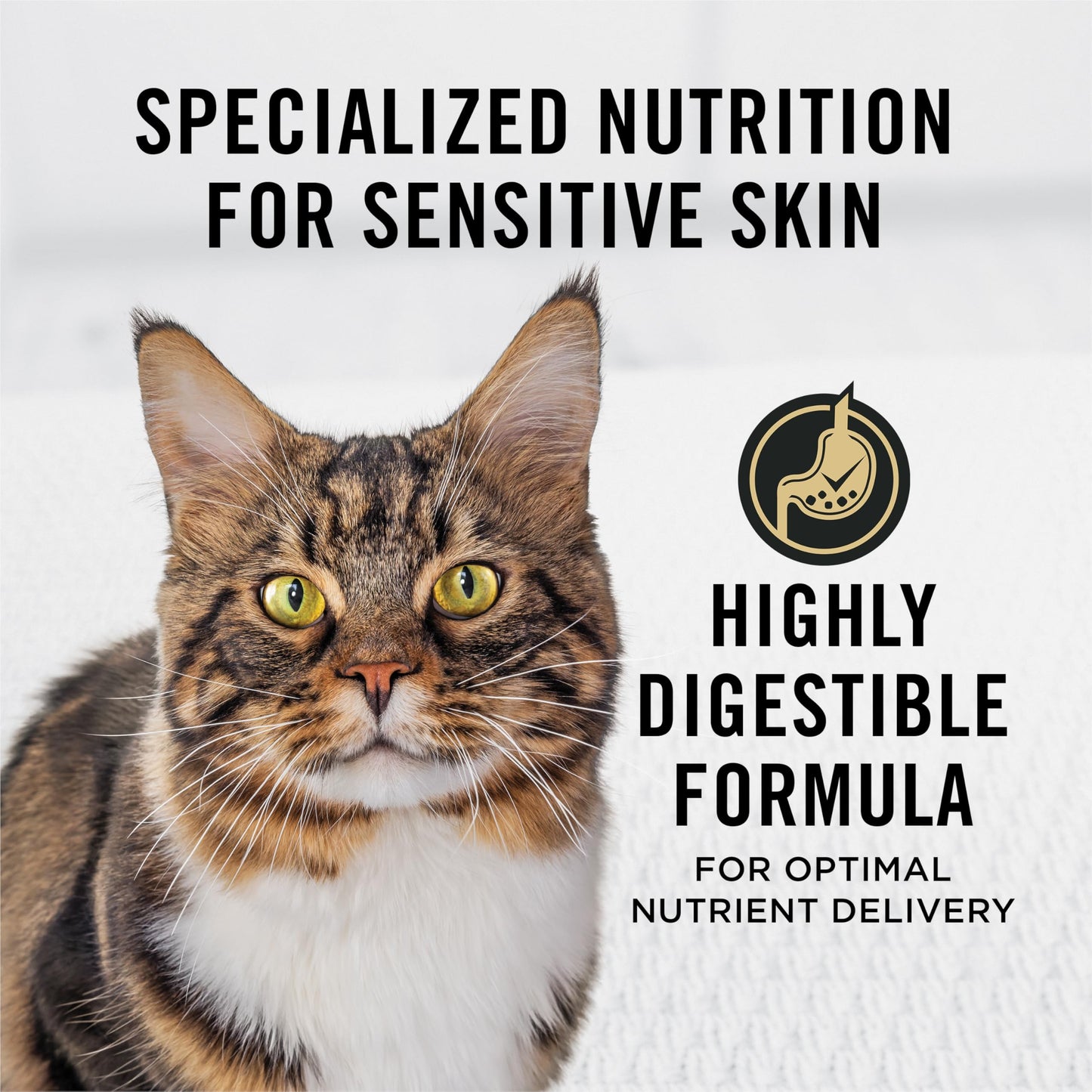 Purina Pro Plan Dry Cat Food Focus, Adult Sensitive Skin/Stomach Lamb and Rice Formula, 16-Pound Bag, Pack of 1 🍁 All In One Marketplace Canada