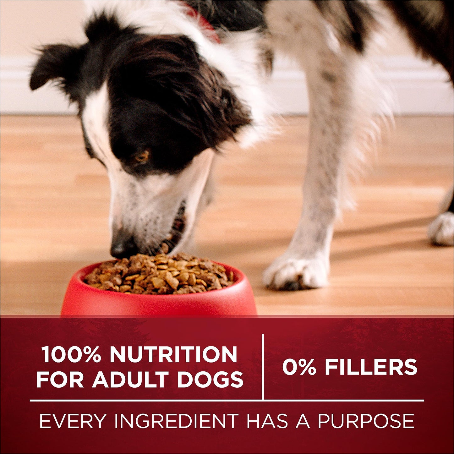 Purina ONE True Instinct High Protein Dry Dog Food, Beef & Salmon - 12.4 kg Bag (1 Pack) 🍁 All In One Marketplace Canada
