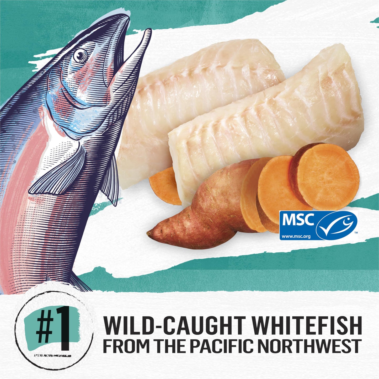 Beyond Grain Free Natural Dry Cat Food, Wild-Caught Whitefish & Free Run Egg - 2.26 kg Bag 🍁 All In One Marketplace Canada