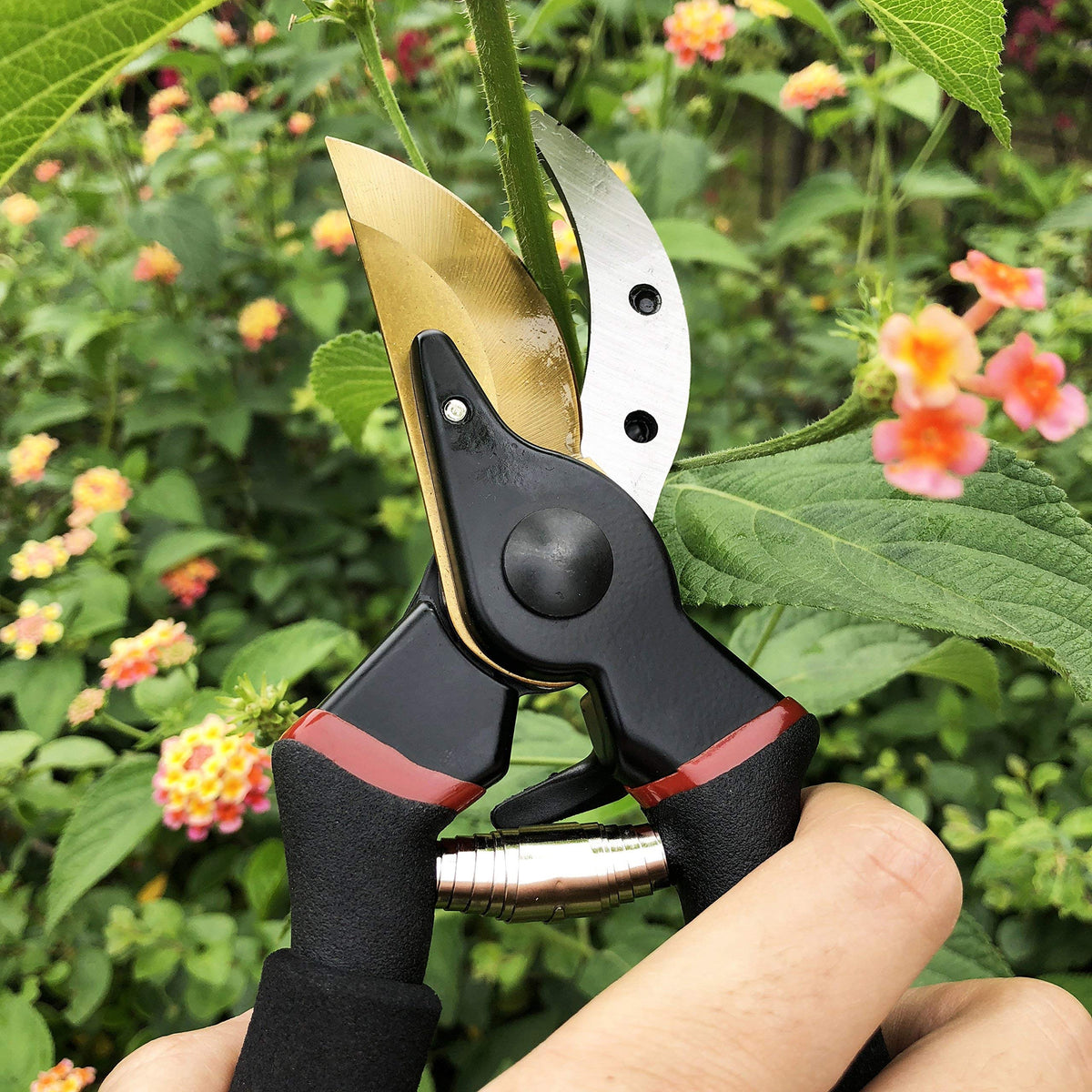 gonicc 8" Professional Premium Titanium Bypass Pruning Shears (GPPS-1003), Hand Pruners, Garden Clippers. 🍁 All In One Marketplace Canada