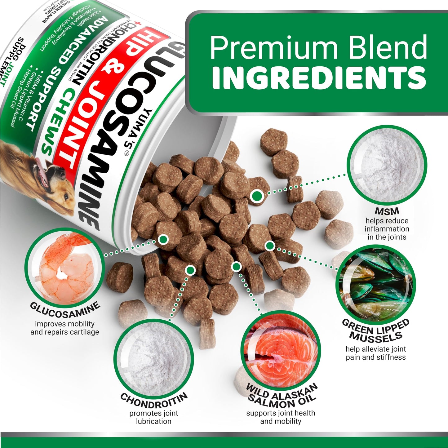 Glucosamine for Dogs - 170 Chews - Hip and Joint Supplement for Dogs - Glucosamine Chondroitin Chews - Joint Pain Relief Supplement with MSM - Advanced Health - Mobility Support - Made in USA 🍁 All In One Marketplace Canada