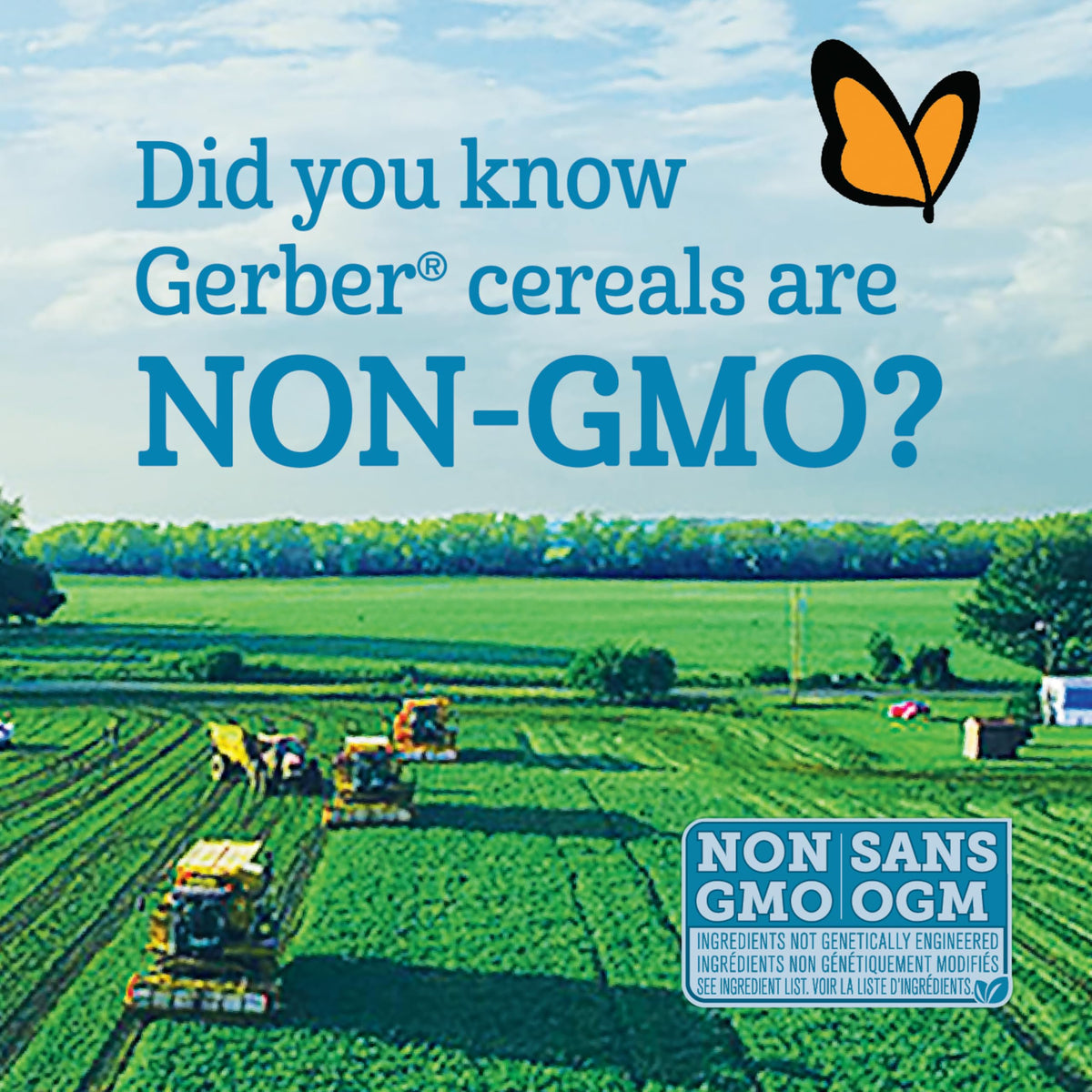 GERBER Cereal Stage 1 - Rice, Baby Food, Cereals, Starter Stage, 227 g, 6 Pack - Packaging May Vary 🍁 All In One Marketplace Canada