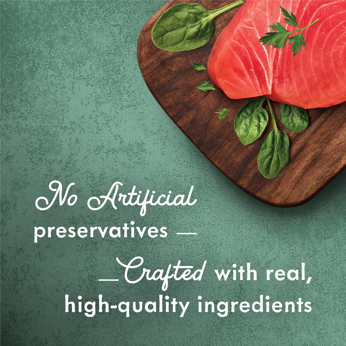 Fancy Feast Medleys Wet Cat Food, Tuna Florentine - 85 g Can (24 Pack) 🍁 All In One Marketplace Canada