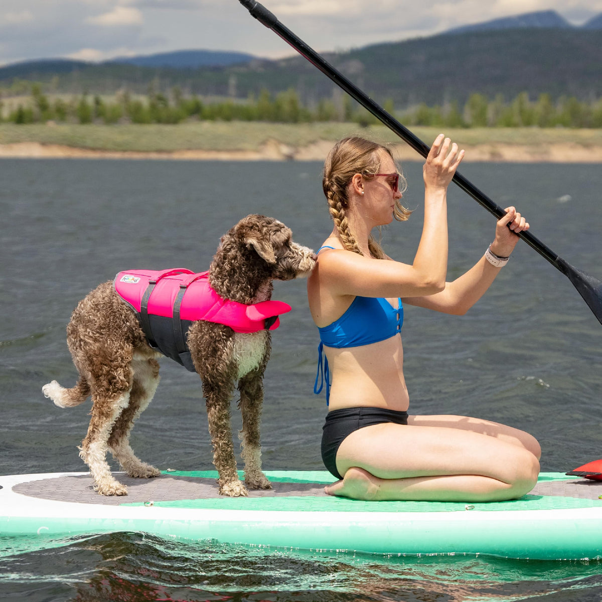 Outward Hound Granby Splash Dog Life Jacket with Handle, Reflective Floating Vest for Swimming & Boating, Maximum Buoyancy, All Skill Levels, Medium Dogs (21–27" Girth), Pink, Medium 🍁 All In One Marketplace Canada