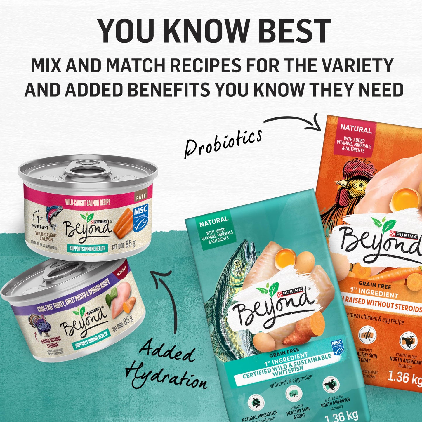 Beyond Grain Free Natural Dry Cat Food, Wild-Caught Whitefish & Free Run Egg - 2.26 kg Bag 🍁 All In One Marketplace Canada