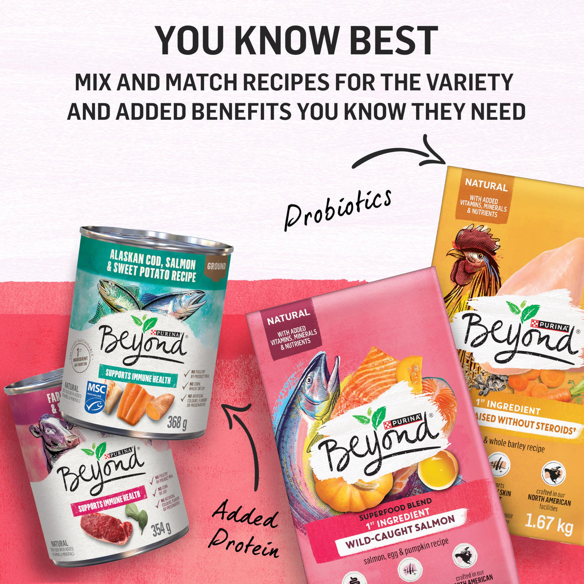 Beyond Superfood Blend Natural Dry Dog Food, Wild Caught Salmon, Egg & Pumpkin - 10.2 kg Bag 🍁 All In One Marketplace Canada