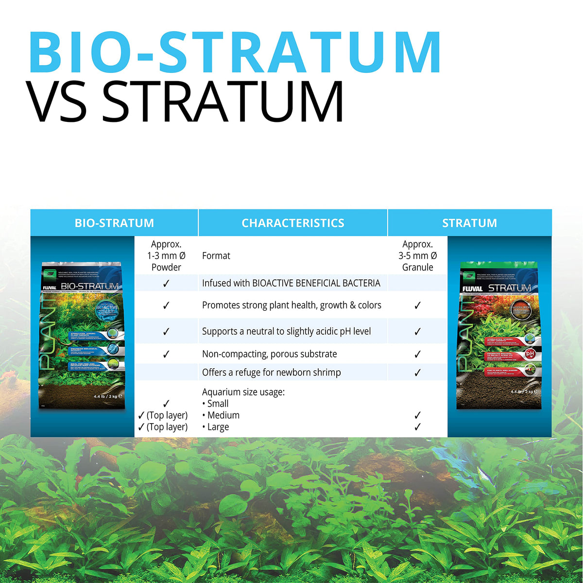 Fluval 12697 Plant and Shrimp Stratum, 8.8-Pound, Black 🍁 All In One Marketplace Canada