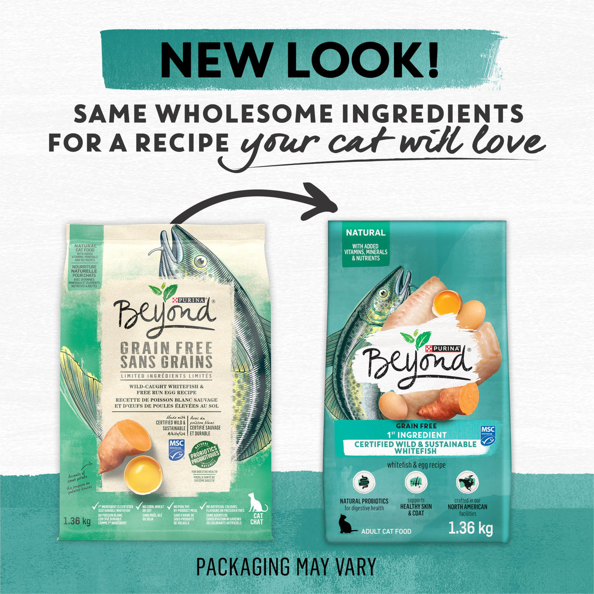 Beyond Grain Free Natural Dry Cat Food, Wild-Caught Whitefish & Free Run Egg - 2.26 kg Bag 🍁 All In One Marketplace Canada