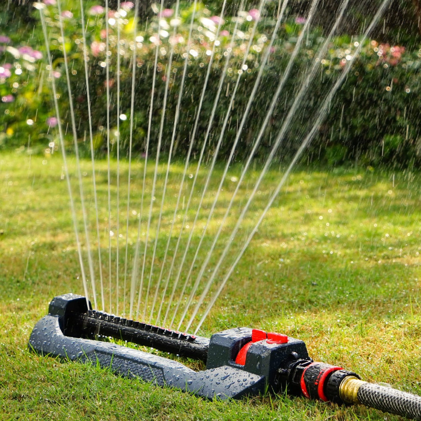 Eden 94105 Weighted Oscillating Sprinkler | Covers Up to 3,600 sq. ft., 16 Precision Nozzles, Adjustable Range, Flow Control, Turbo Drive Motor, Quick Connect Bundle 🍁 All In One Marketplace Canada