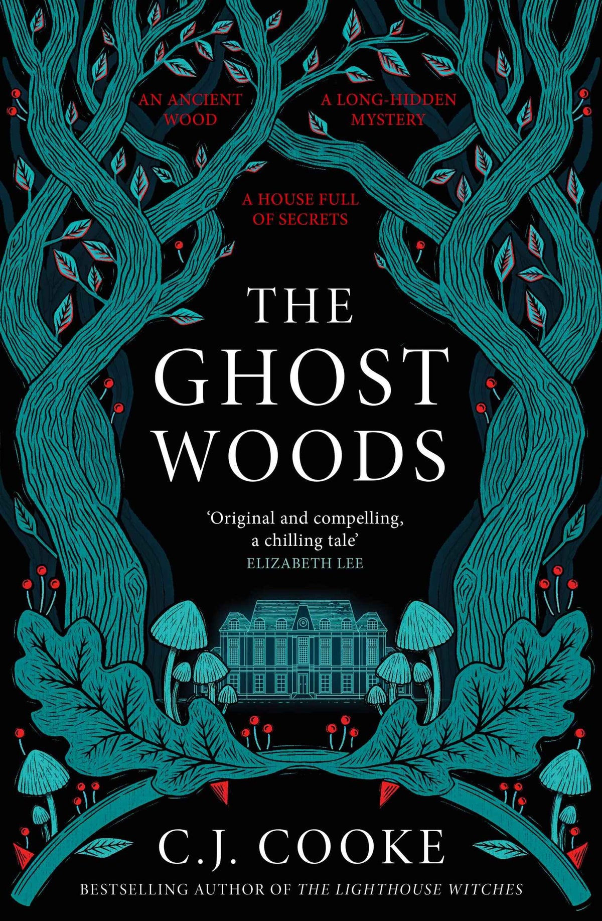The Ghost Woods: A chillingly haunting psychological thriller – the perfect Halloween read!