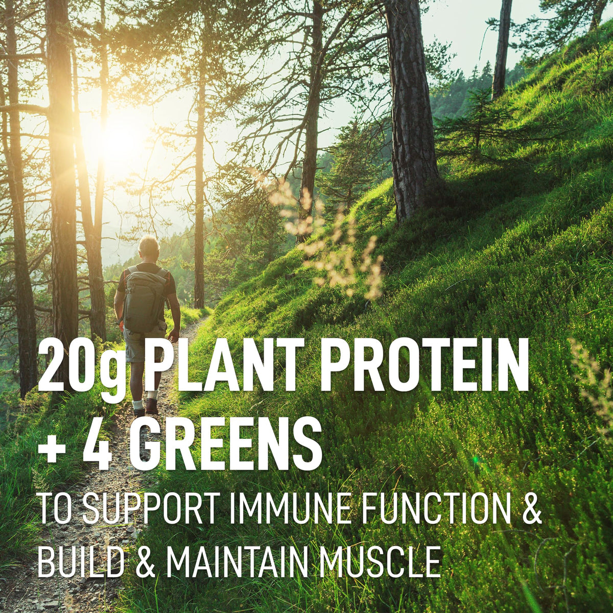 LEANFIT PLANT-BASED PROTEIN & GREENS Natural Vanilla – 20g Plant Protein + 4 Leafy Greens Per Serving – Vegan, Gluten-Free, Soy-Free, No Sugar - 20 Servings, 517g Tub 🍁 All In One Marketplace Canada