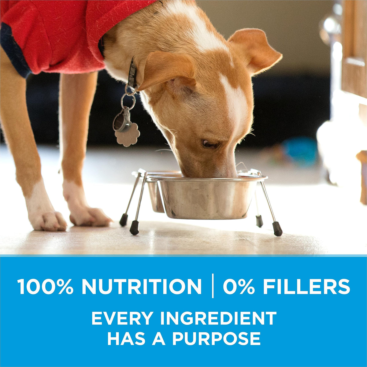 Purina ONE Dry Dog Food, +Plus Small Breed with Beef - 3.63 kg Bag (1 Pack) 🍁 All In One Marketplace Canada