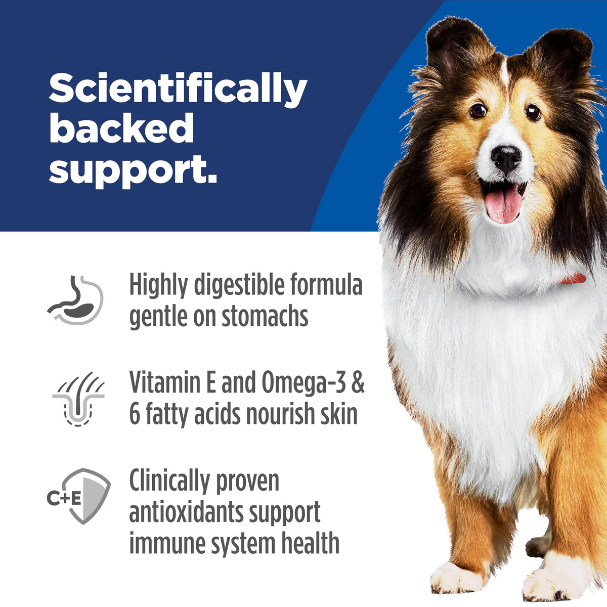 Hill's Science Diet Sensitive Stomach & Skin, Adult 1-6, Stomach Sensitivity Support, Wet Dog Food, Turkey & Rice Stew, 12.5 oz Can, Case of 12 🍁 All In One Marketplace Canada