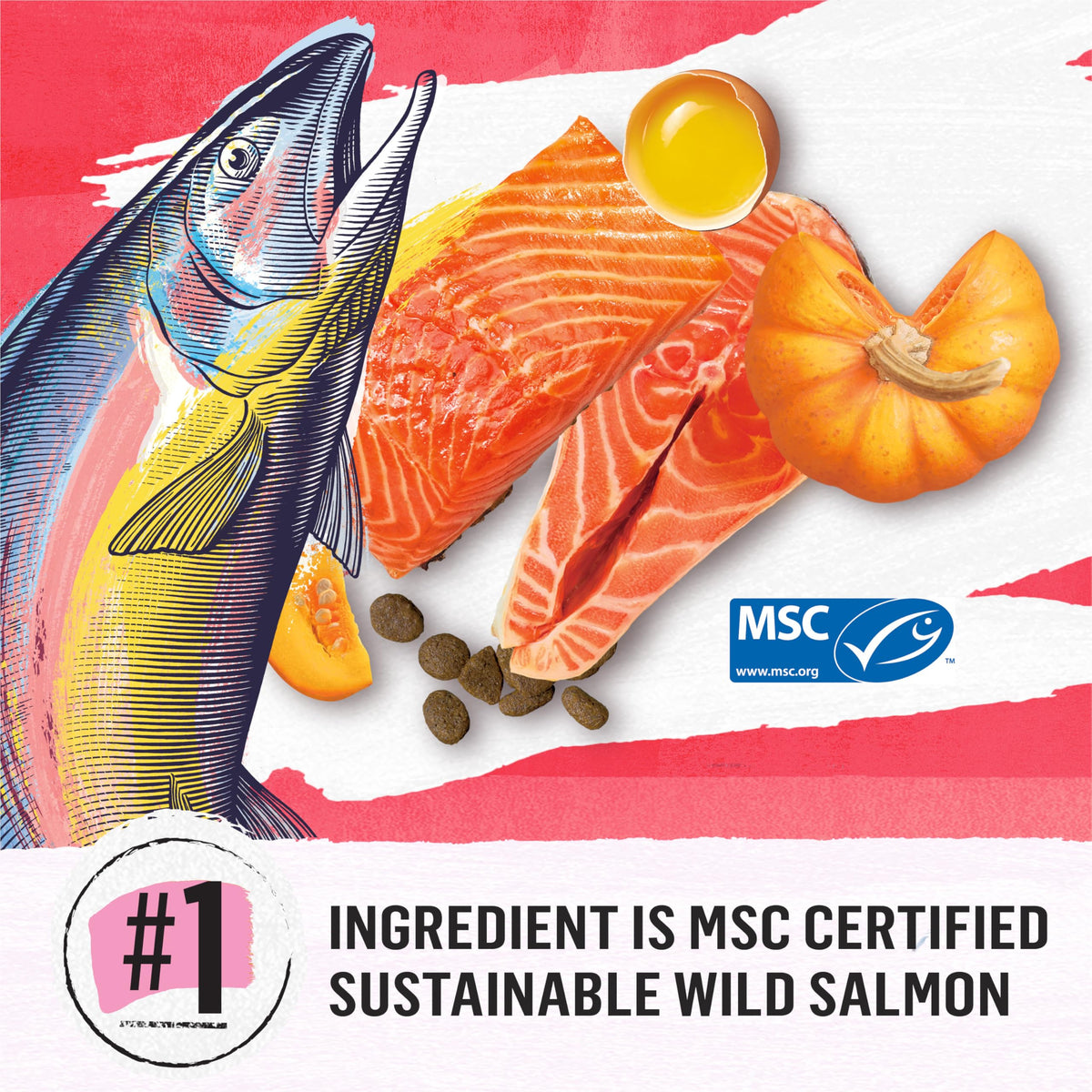 Beyond Superfood Blend Natural Dry Dog Food, Wild Caught Salmon, Egg & Pumpkin - 5 kg Bag 🍁 All In One Marketplace Canada